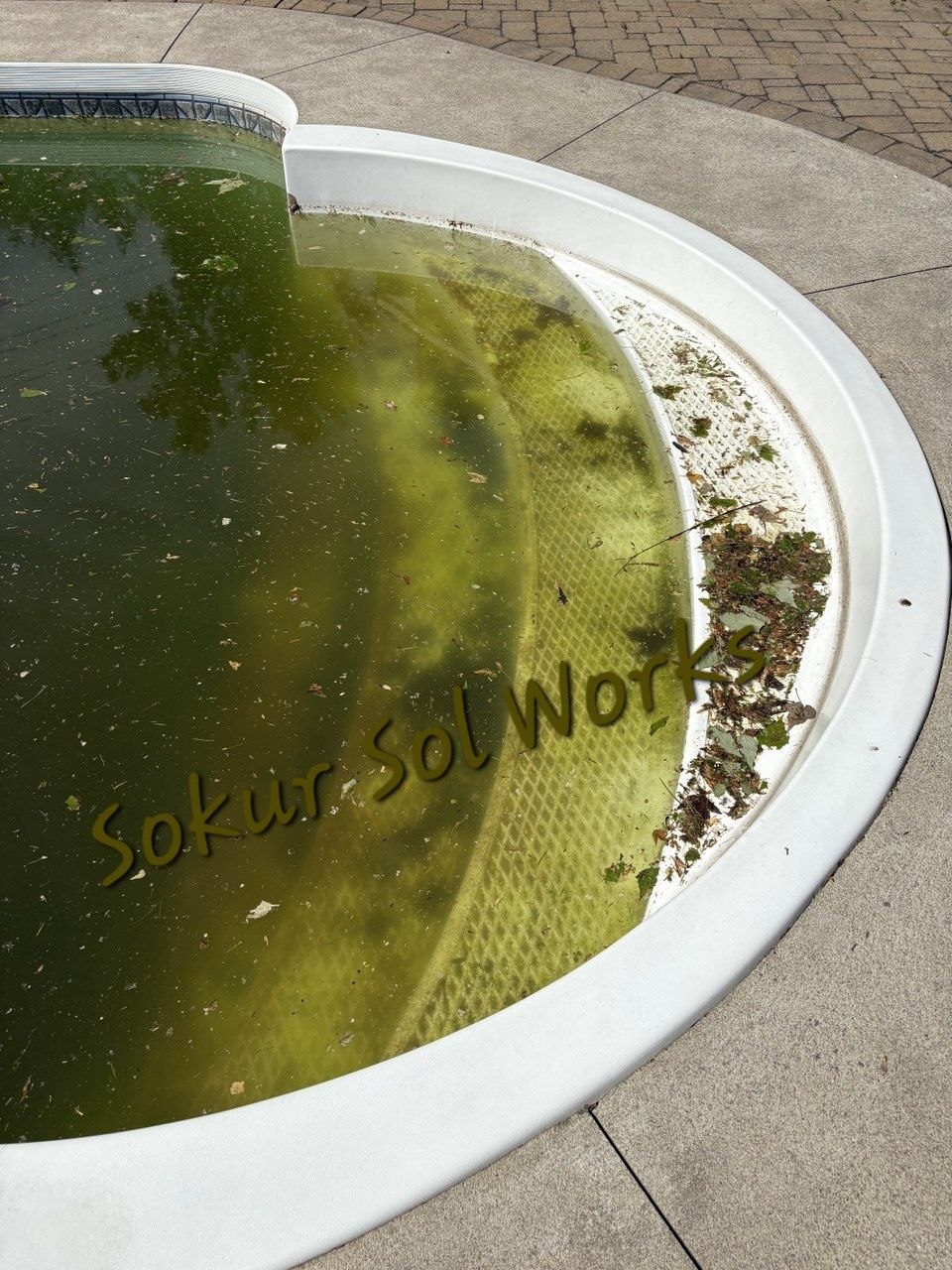 Before - Green pool cleanup