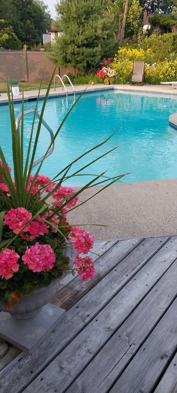 Clean pool water